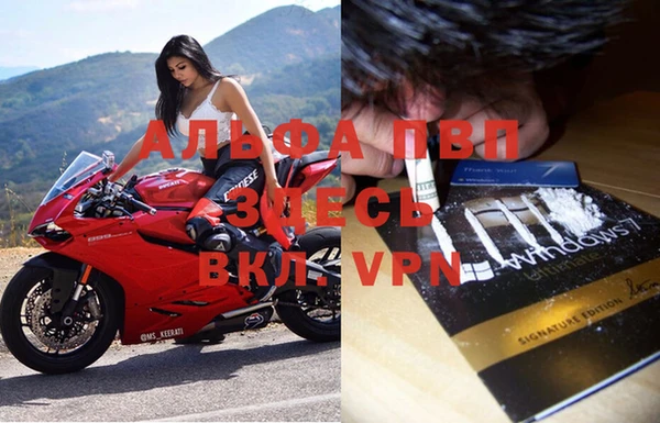 хмурый Абаза