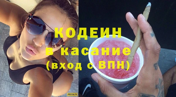 хмурый Абаза