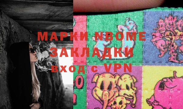 хмурый Абаза