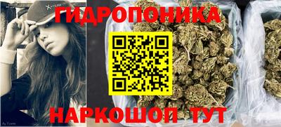 гидра Рязань