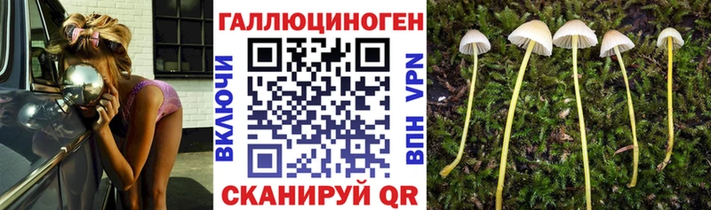 Галлюциногенные грибы мухоморы наркотики Электрогорск
