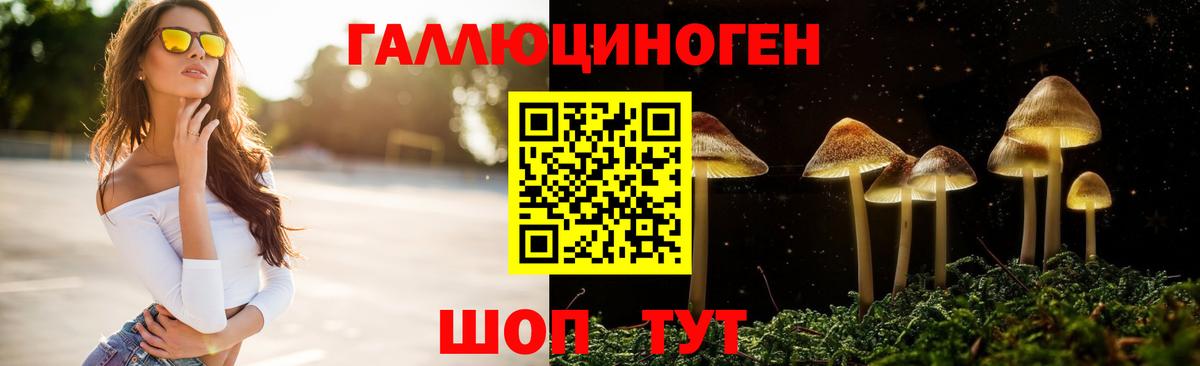 Галлюциногенные грибы ЛСД  магазин    Электрогорск  Вход с VPN 